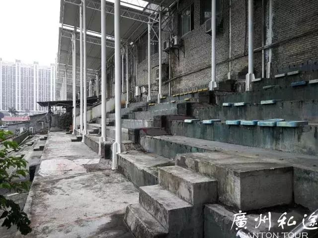 今晚澳门马出什么特马,今晚澳门马会出什么样的特马？探寻赛马世界的神秘与魅力