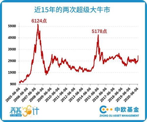 下一轮牛市预测|精选解释解析落实