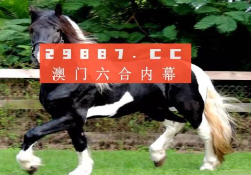 澳门香港一肖一码一中一特免费公开|精选解释解析落实