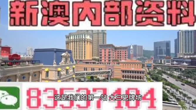 2024新澳门正版免费资料|精选解释解析落实