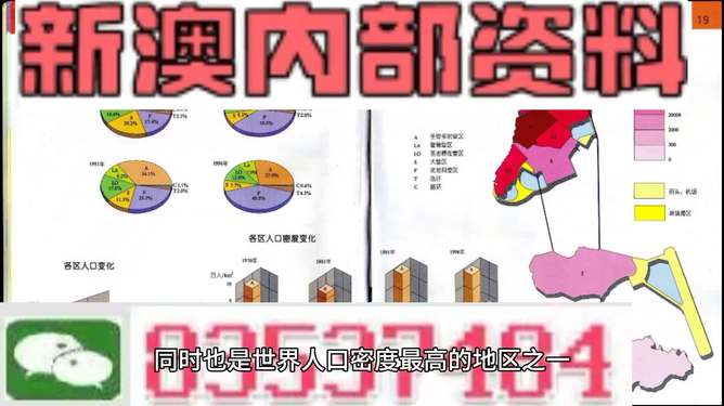 新澳门正版免费资料怎么查|精选解释解析落实