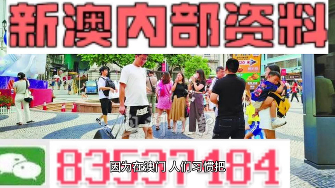 2024新澳门免费资料观看|精选解释解析落实