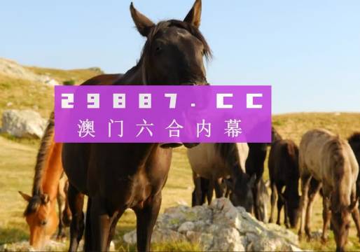 新澳门管家婆一肖一码一中特|精选解释解析落实