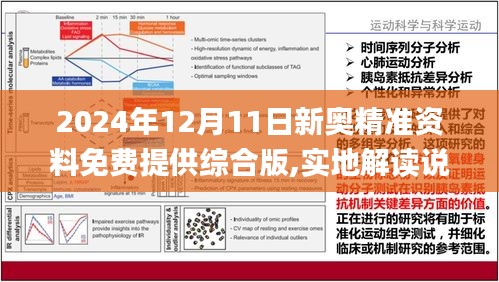 2024新奥精准免费|精选解释解析落实