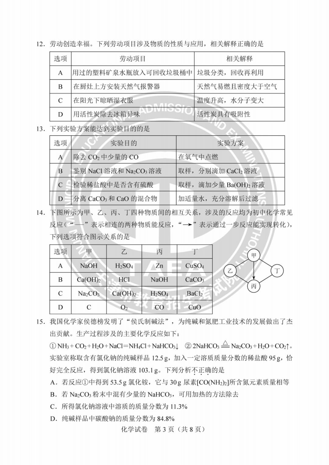 焦点 第13页