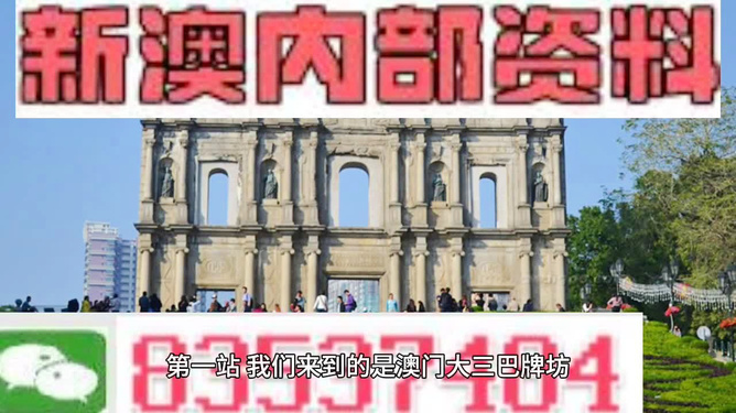2025新澳免费资料澳门钱庄,探索未来，2025新澳免费资料与澳门钱庄的发展前景