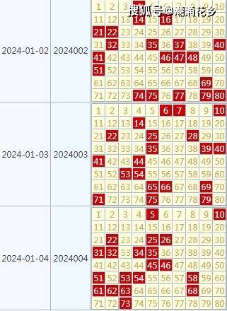 20024新澳天天彩免费资料,探索20024新澳天天彩，免费资料的魅力与挑战