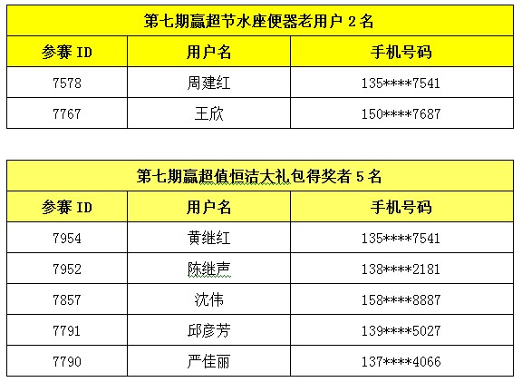 新澳天天开奖资料大全153期,新澳天天开奖资料大全第153期详解