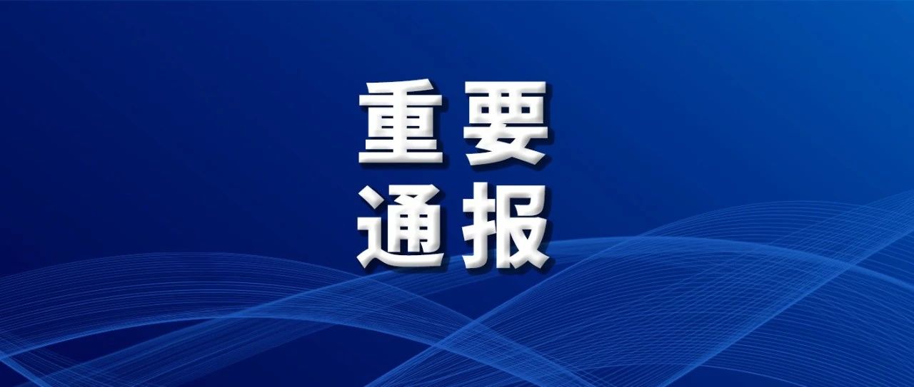 2025年免费下载新澳,迈向2025年，新澳资源免费下载的未来展望