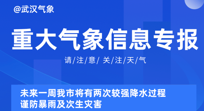 2025新奥精准正版资料大全,探索未来，2025新奥精准正版资料大全