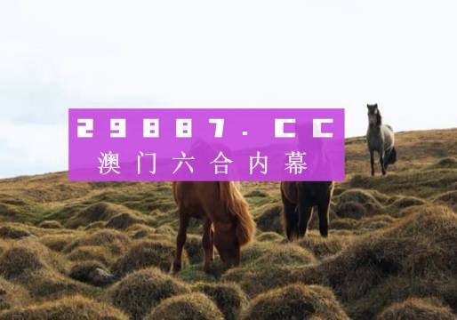 澳门一肖一码准选一码2023年,澳门一肖一码准选一码，探索背后的秘密与未来展望（2023年）