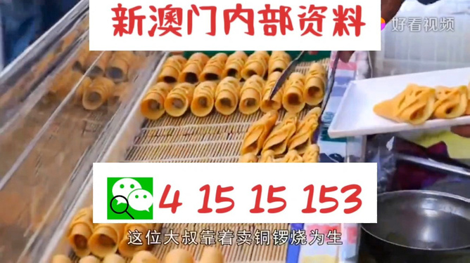 新澳天天开好彩资料大全,新澳天天开好彩资料大全——探索彩票世界的奥秘与魅力