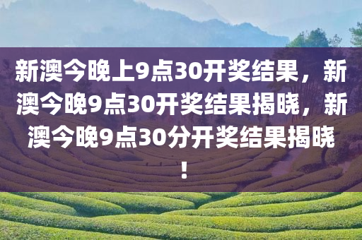 新澳今晚上9点30开奖结果是什么呢,新澳今晚上9点30开奖结果揭晓，期待与惊喜的交织