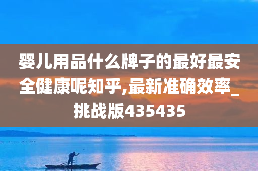 2025新澳最准确资料,探索未来，2025新澳最准确资料解析