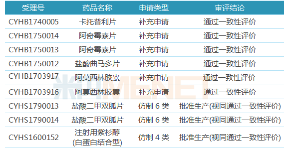 澳门特马今期开奖结果2025年记录,澳门特马今期开奖结果及未来展望，聚焦2025年记录展望